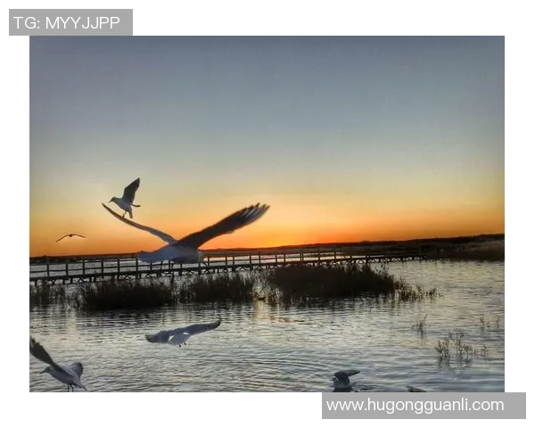 足球匡俊杰的传奇之路与梦想追逐的精彩瞬间 足球匡俊杰的传奇之路与梦想追逐的精彩瞬间