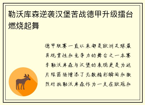 勒沃库森逆袭汉堡苦战德甲升级擂台燃烧起舞