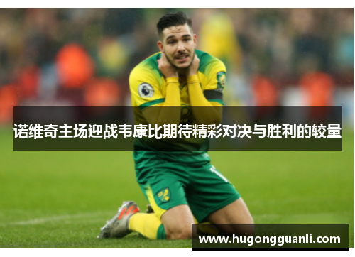 诺维奇主场迎战韦康比期待精彩对决与胜利的较量