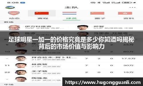 熊猫体育中国官网